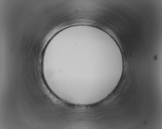 X0000116621099200912312133