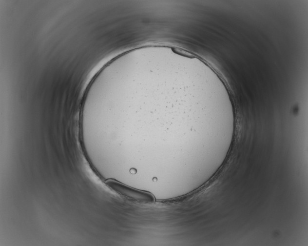 X0000116621100200912312133