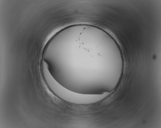 X0000116621101200912312133