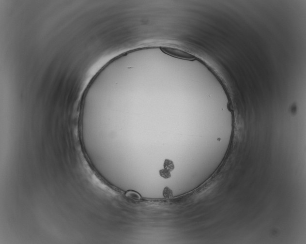 X0000116621102200912312133