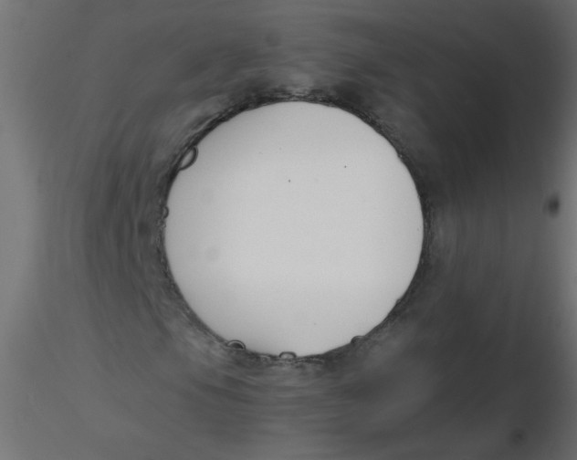 X0000116621105200912312133