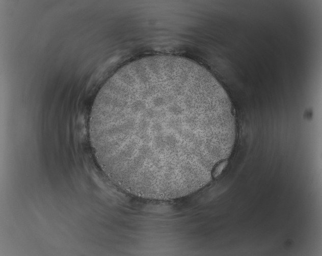 X0000116621106200912312133