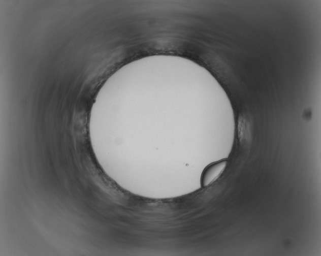 X0000116621107200912312133