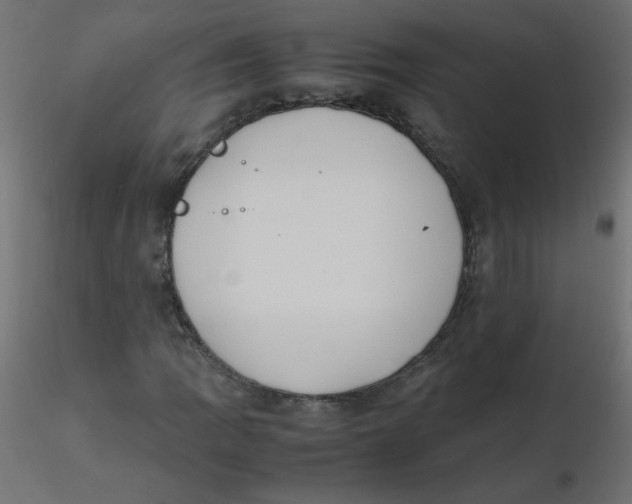 X0000116621109200912312133