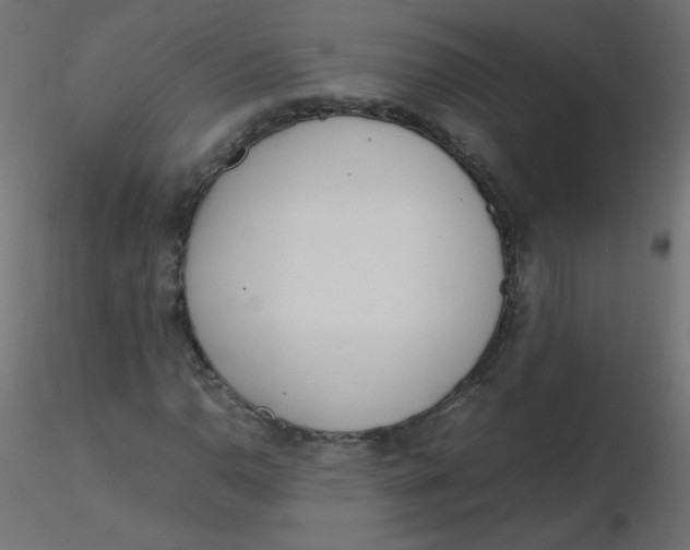 X0000116621110200912312133