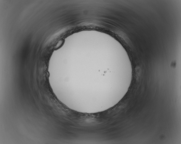 X0000116621111200912312133