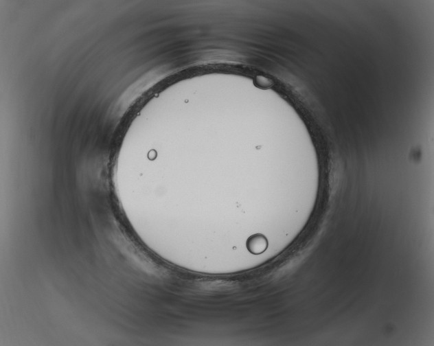 X0000116621113200912312133