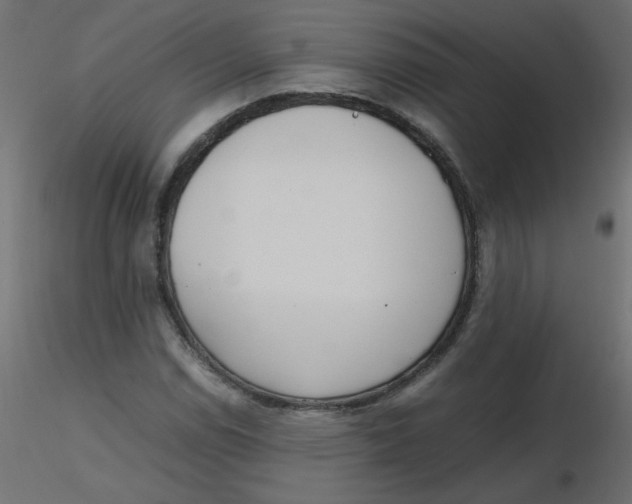 X0000116621114200912312133