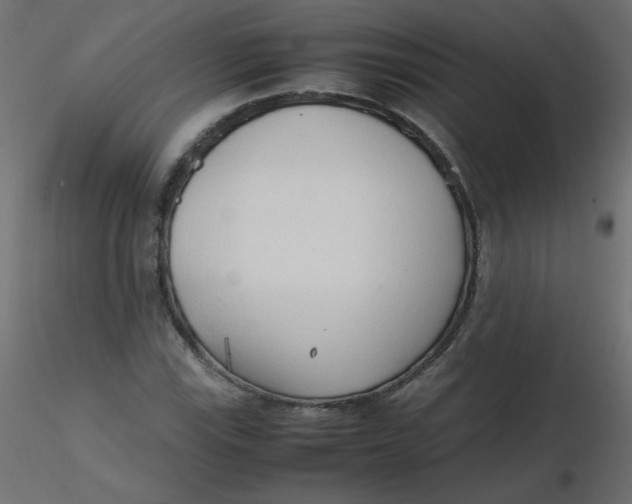 X0000116621115200912312133