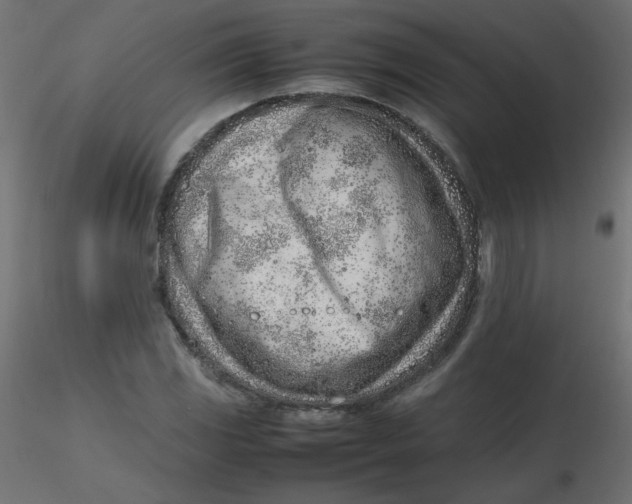 X0000116621117200912312133