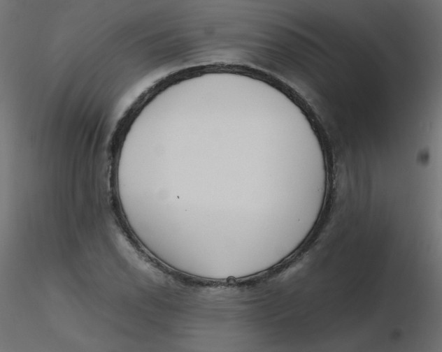 X0000116621118200912312133