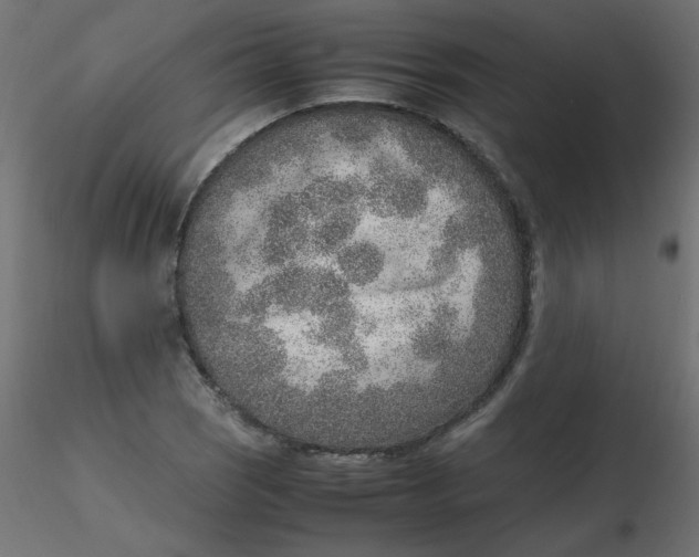 X0000116621121200912312133