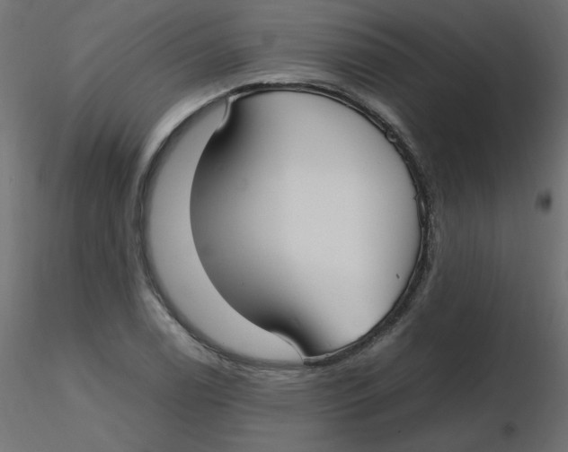 X0000116621122200912312133