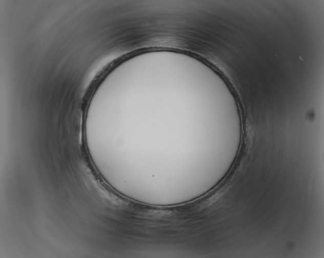 X0000116621123200912312133