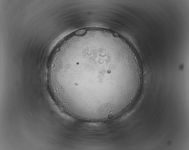 X0000116621125200912312133