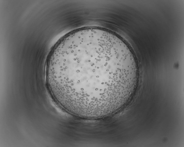 X0000116621127200912312133