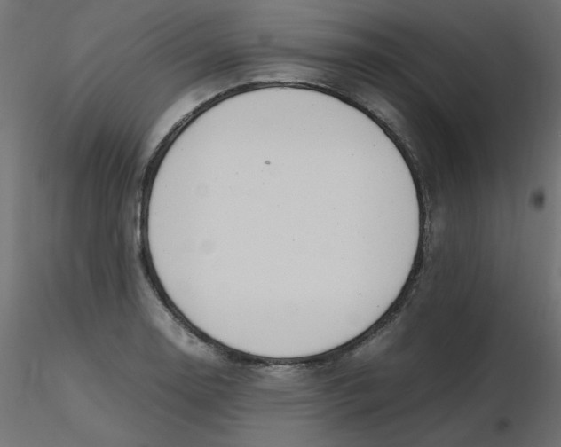 X0000116621130200912312133