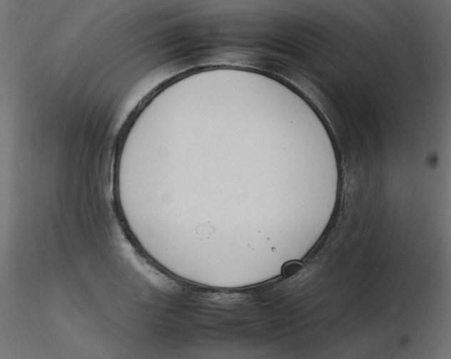 X0000116621131200912312133