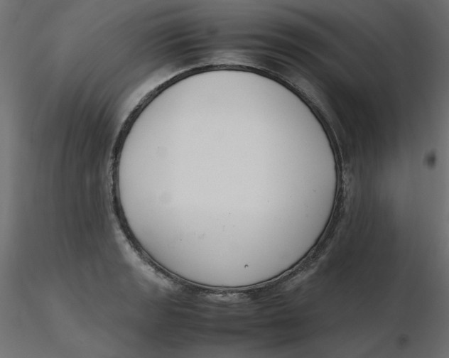 X0000116621133200912312133