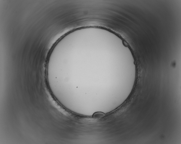 X0000116621134200912312133