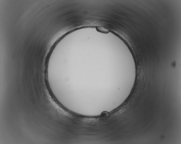 X0000116621135200912312133