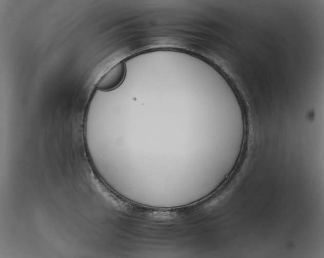 X0000116621137200912312133