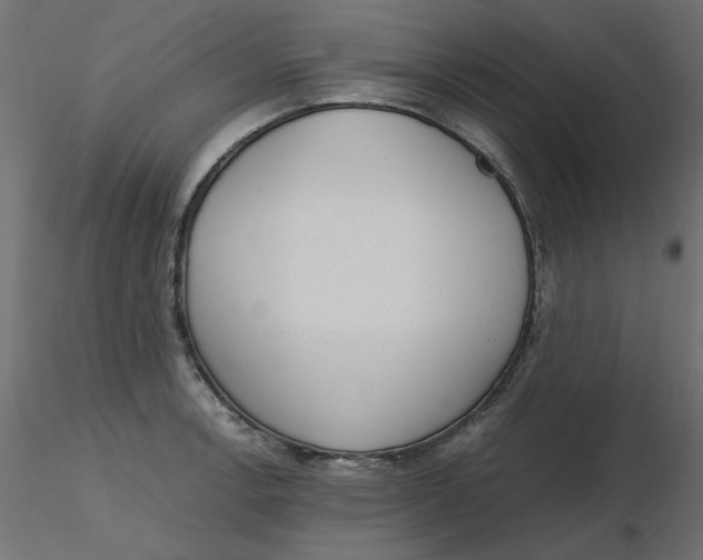 X0000116621138200912312133