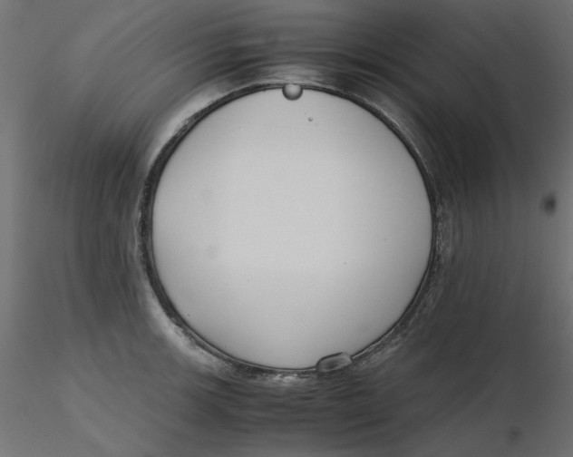 X0000116621139200912312133