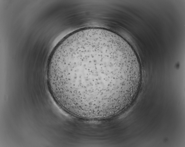 X0000116621141200912312133