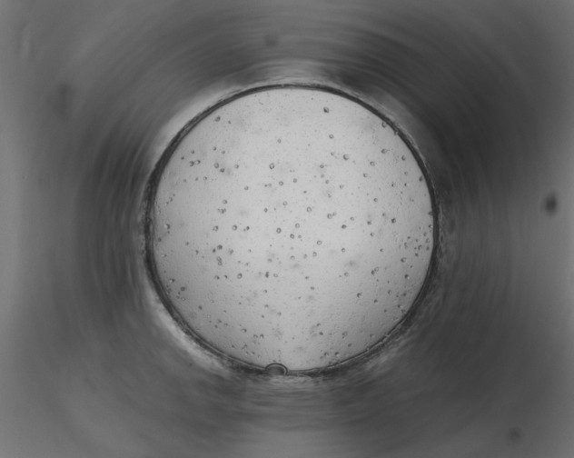 X0000116621142200912312133