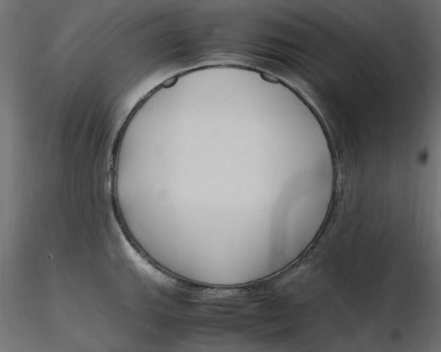 X0000116621143200912312133