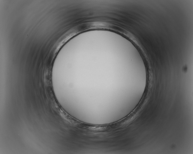 X0000116621145200912312133