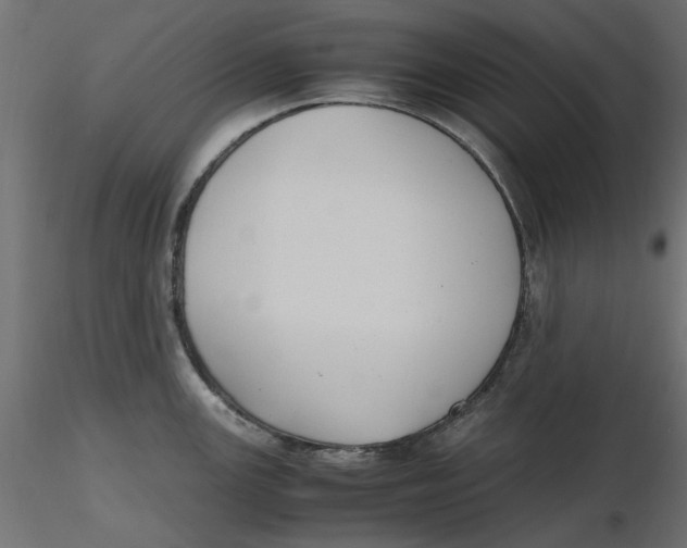 X0000116621147200912312133