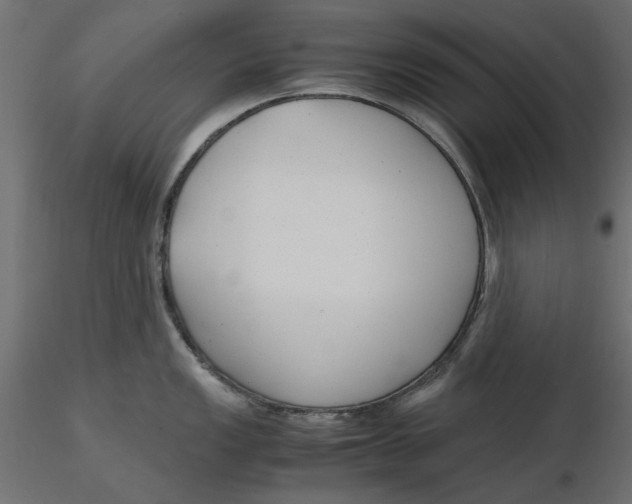 X0000116621149200912312133