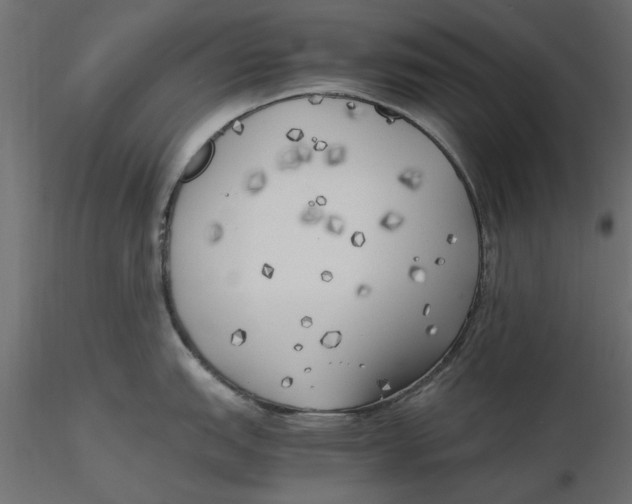 X0000116621151200912312133