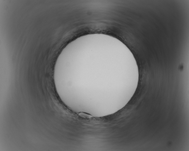 X0000116621153200912312133