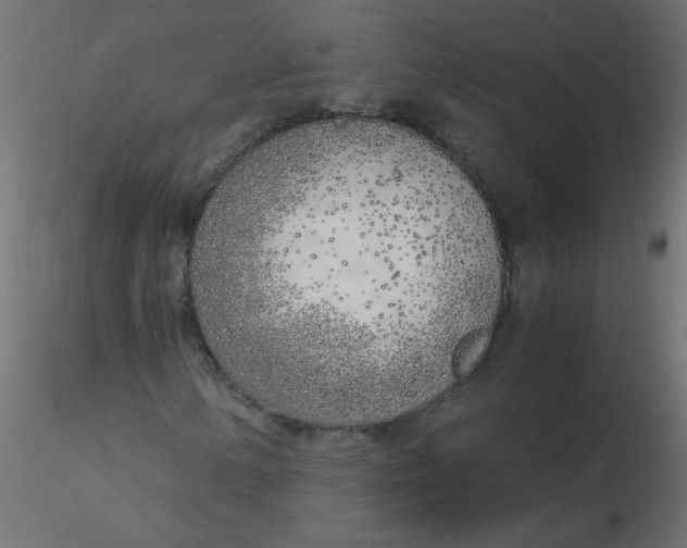 X0000116621154200912312133