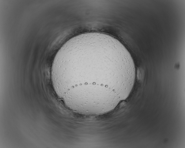 X0000116621155200912312133