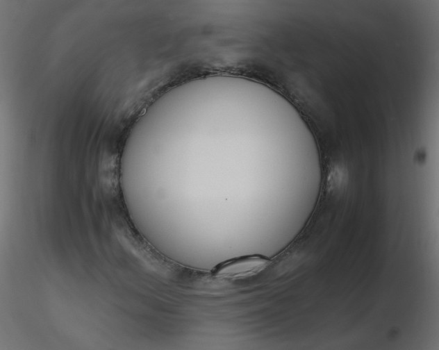 X0000116621156200912312133