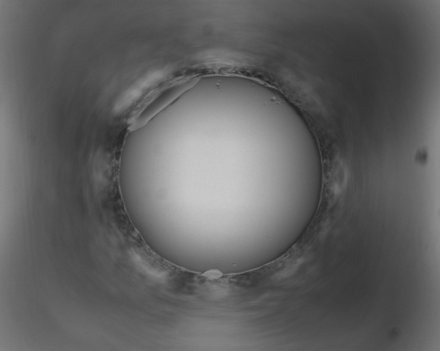 X0000116621157200912312133