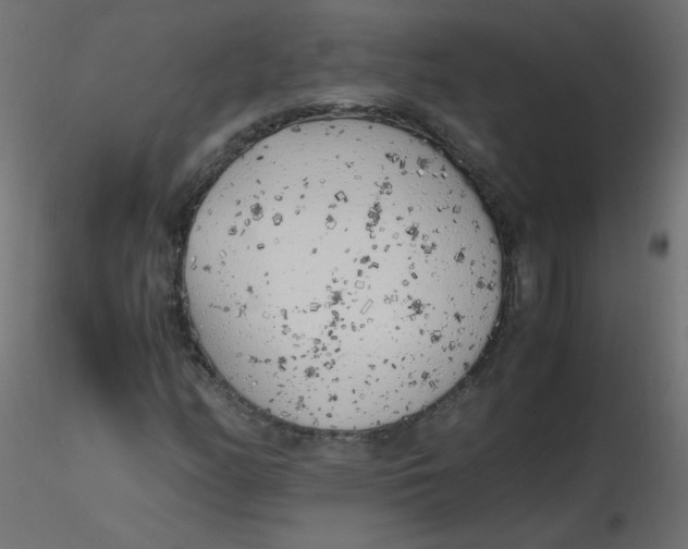 X0000116621158200912312133