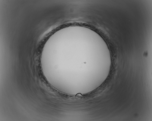 X0000116621159200912312133