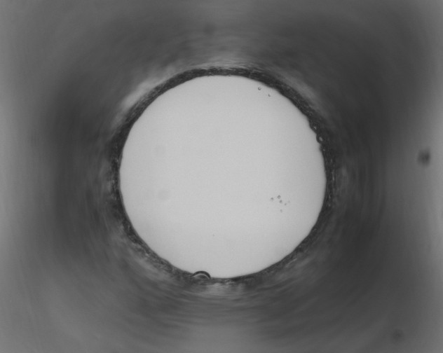 X0000116621160200912312133