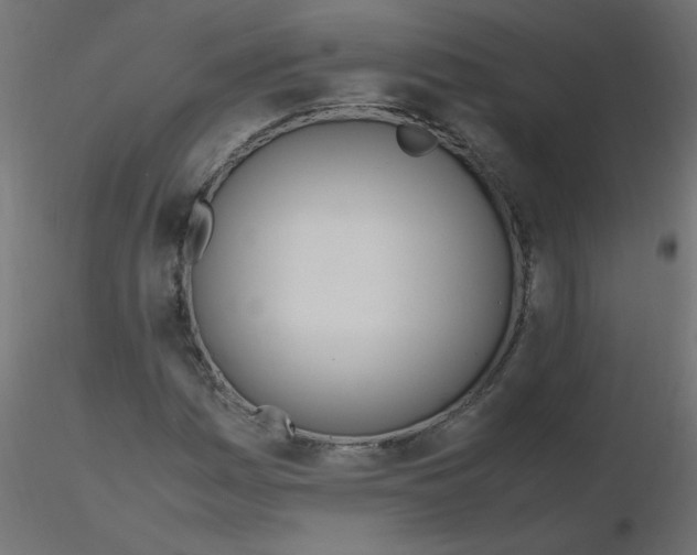 X0000116621161200912312133