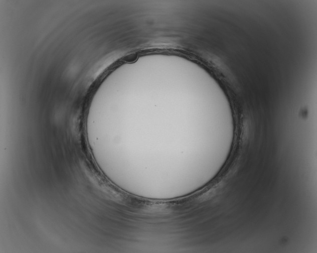 X0000116621162200912312133