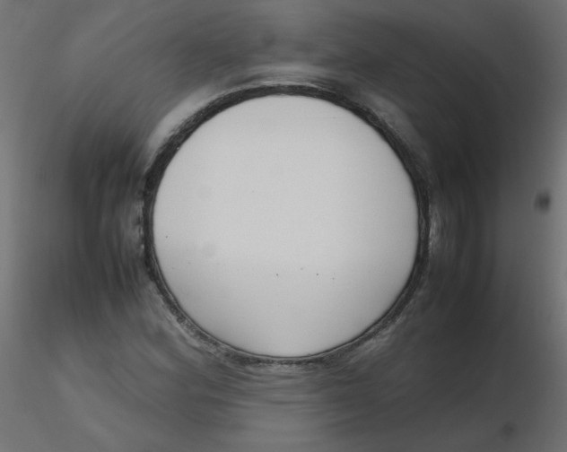 X0000116621164200912312133