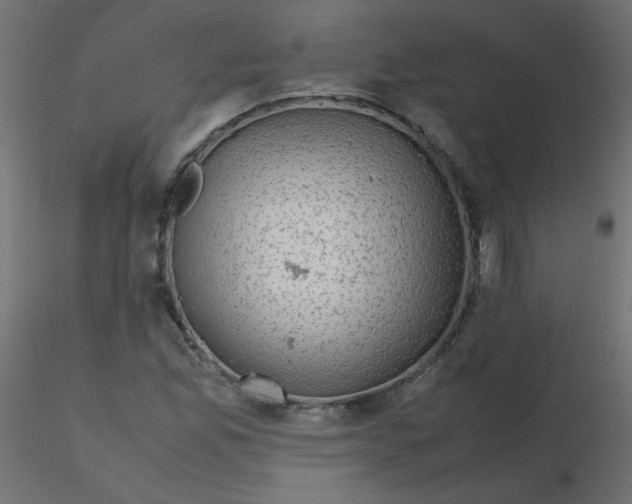 X0000116621165200912312133