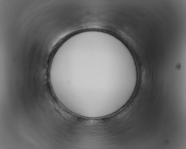 X0000116621166200912312133