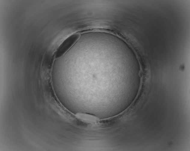 X0000116621169200912312133