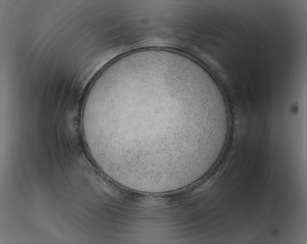 X0000116621170200912312133